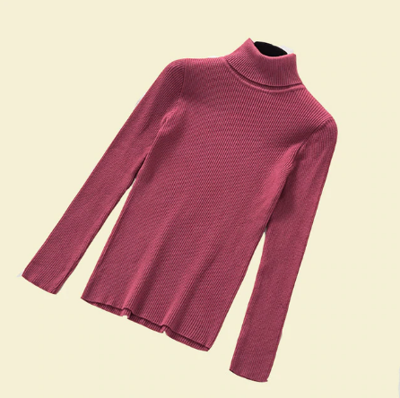 Women Turtleneck Sweaters Fashion Spring - shopngos
