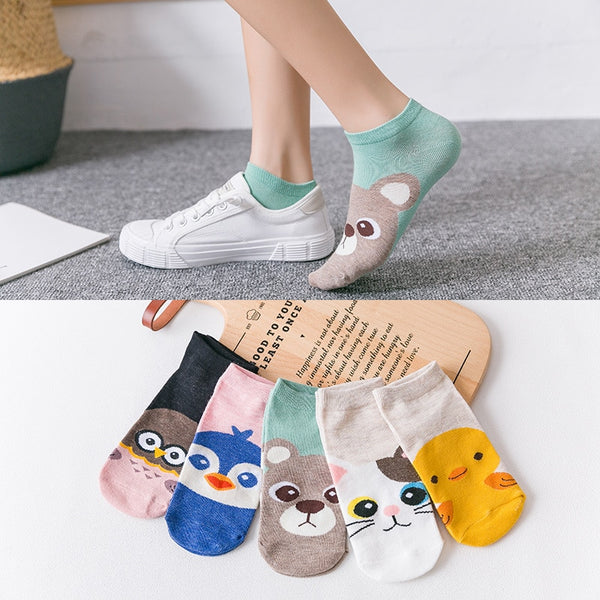 5Pairs/Lot Summer socks women - shopngos