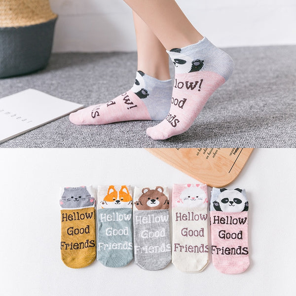 5Pairs/Lot Summer socks women - shopngos